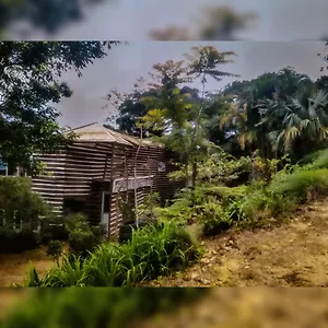 Bed & Breakfast Jungle Tree House Rangala, Kandy